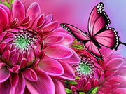 Diamond Painting - Roze Vlinder - Diamond Paradijs